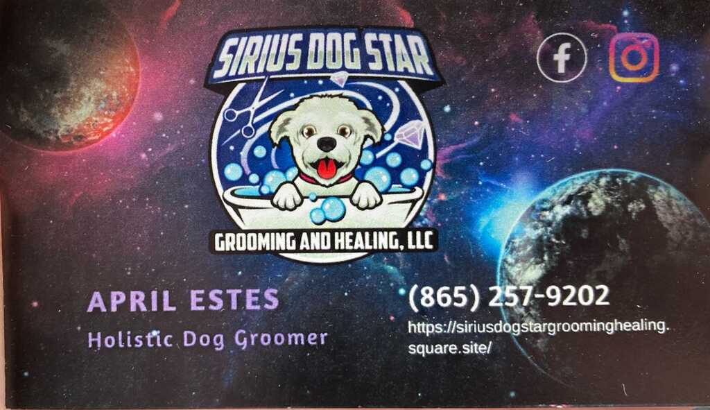 Dogstar 2024 mobile grooming