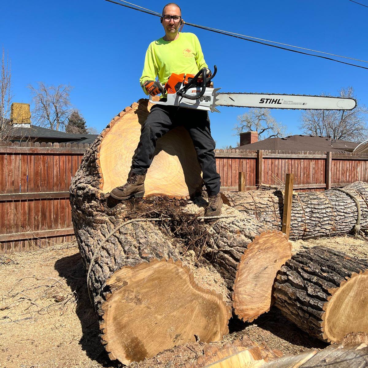 Z Tree Care LLC - Nextdoor