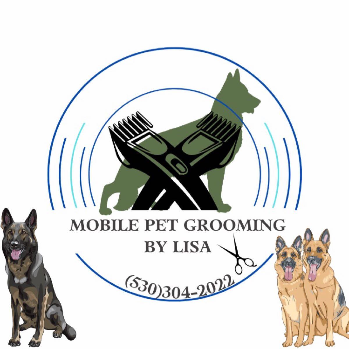 Lisa's dog and cat hot sale grooming