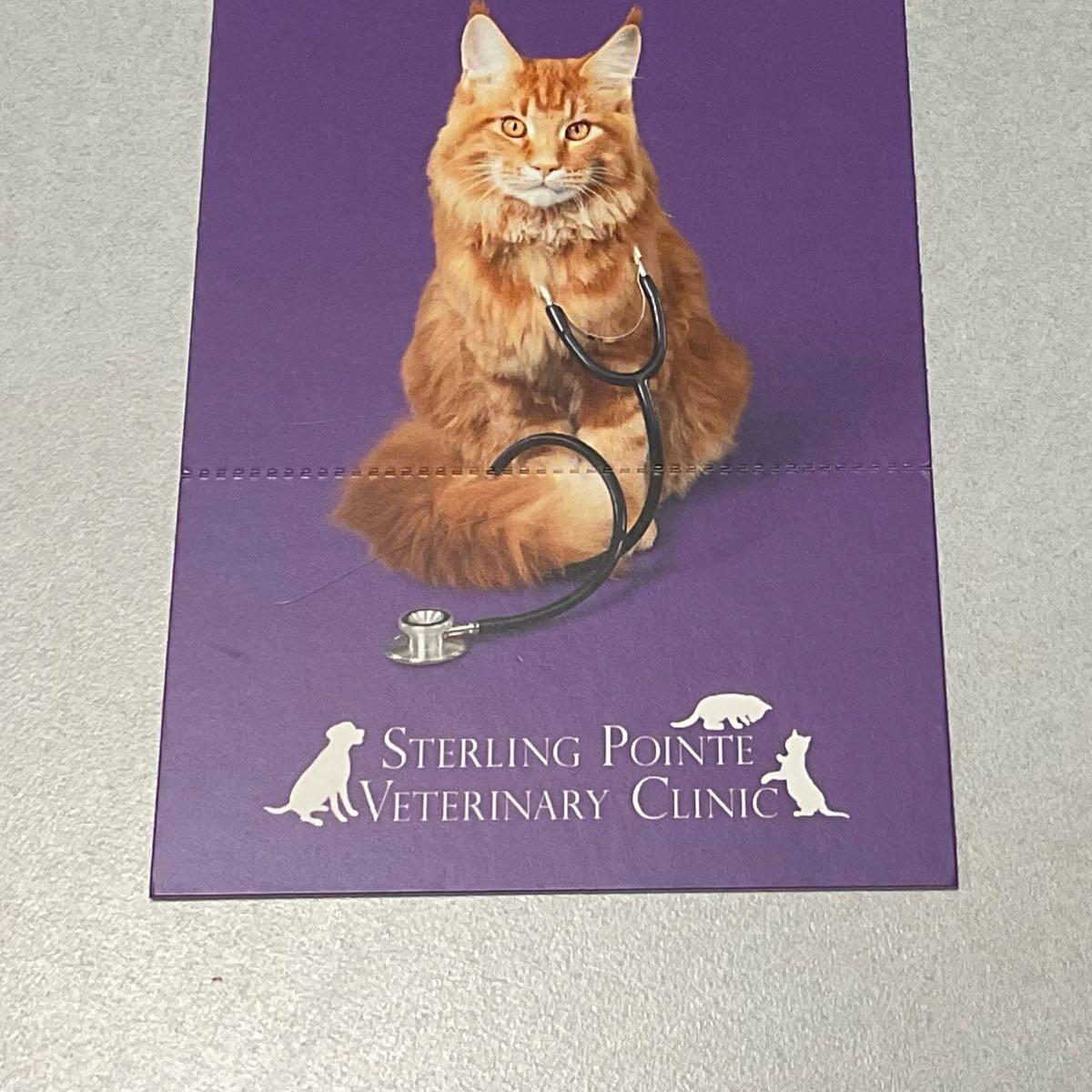 Sterling clearance veterinary clinic