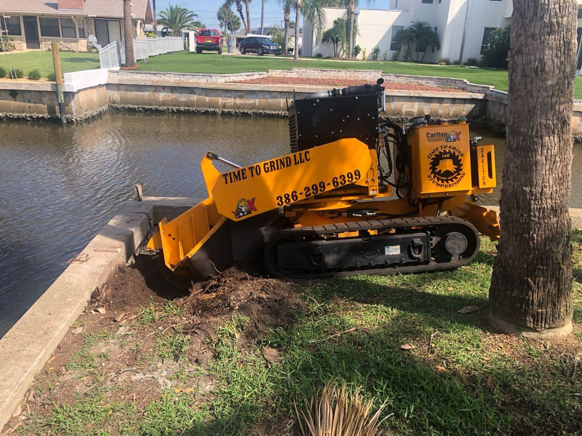Legends Tree Experts - Daytona Beach ...