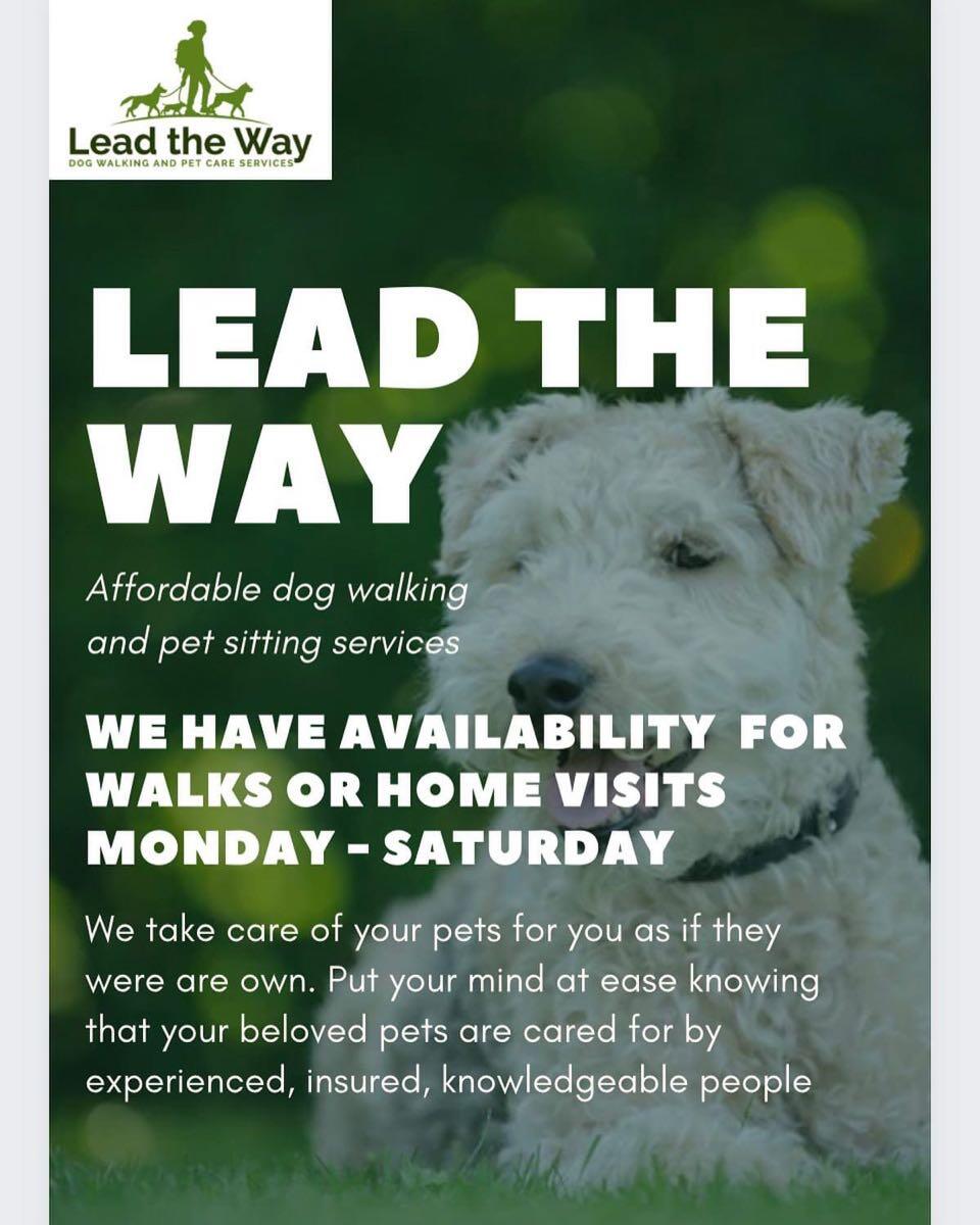 Lead The Way Pet Services Havant GB ENG Nextdoor