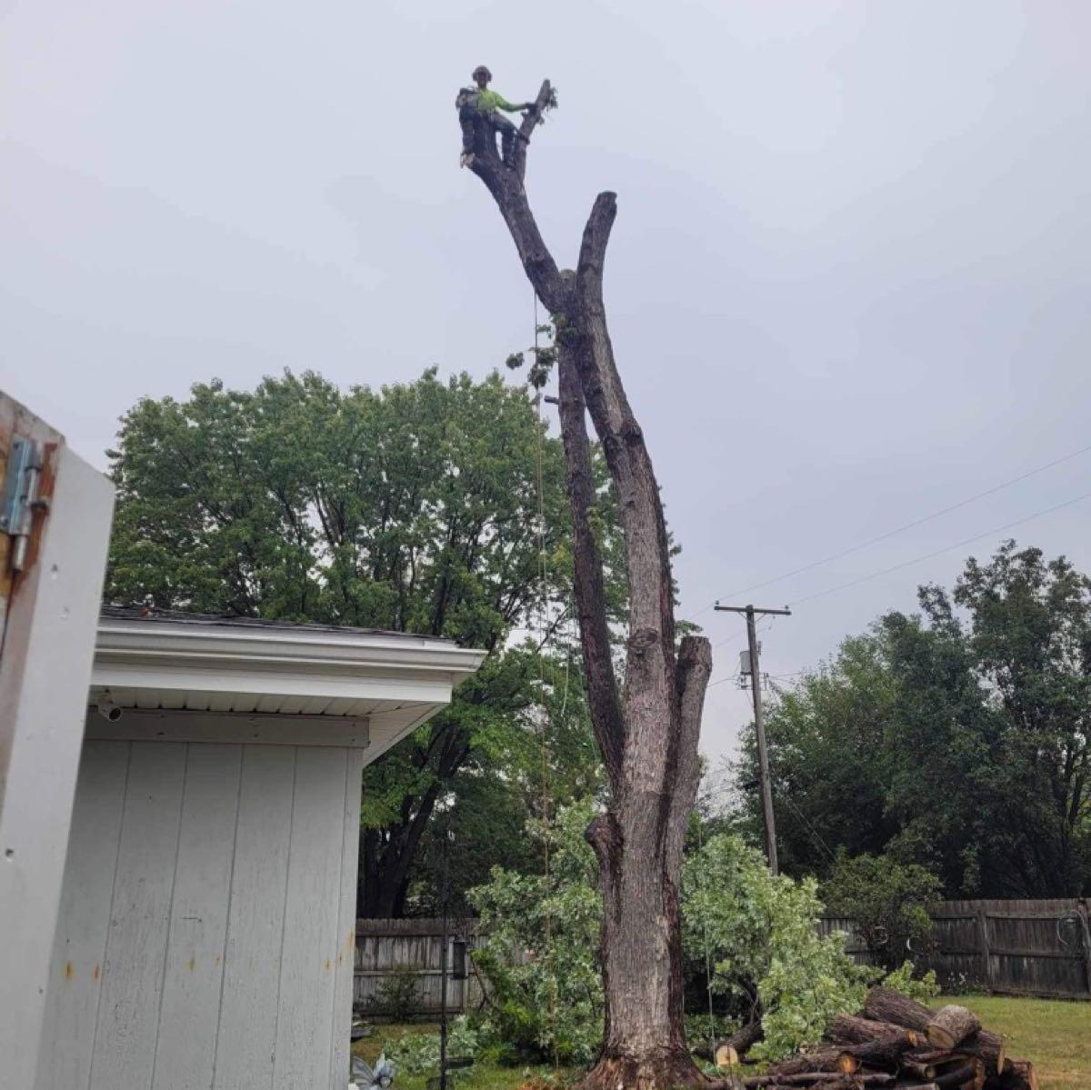 Wellnitz Tree Care, Inc. - Topeka, KS - Nextdoor