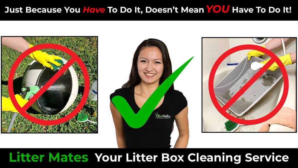 Litter Mates - Nextdoor