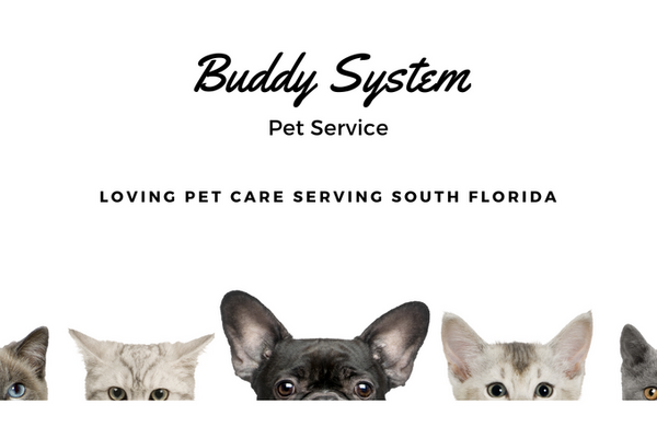 Buddy System Pet Service