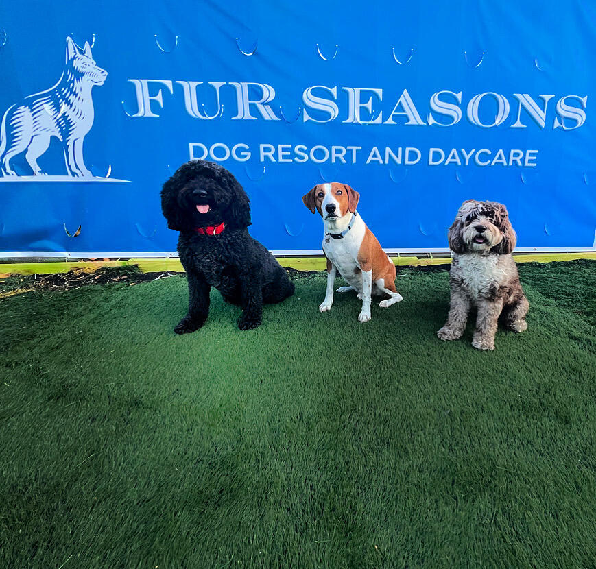Fur Seasons Dog Resort & Spa - Jersey City, NJ - Nextdoor