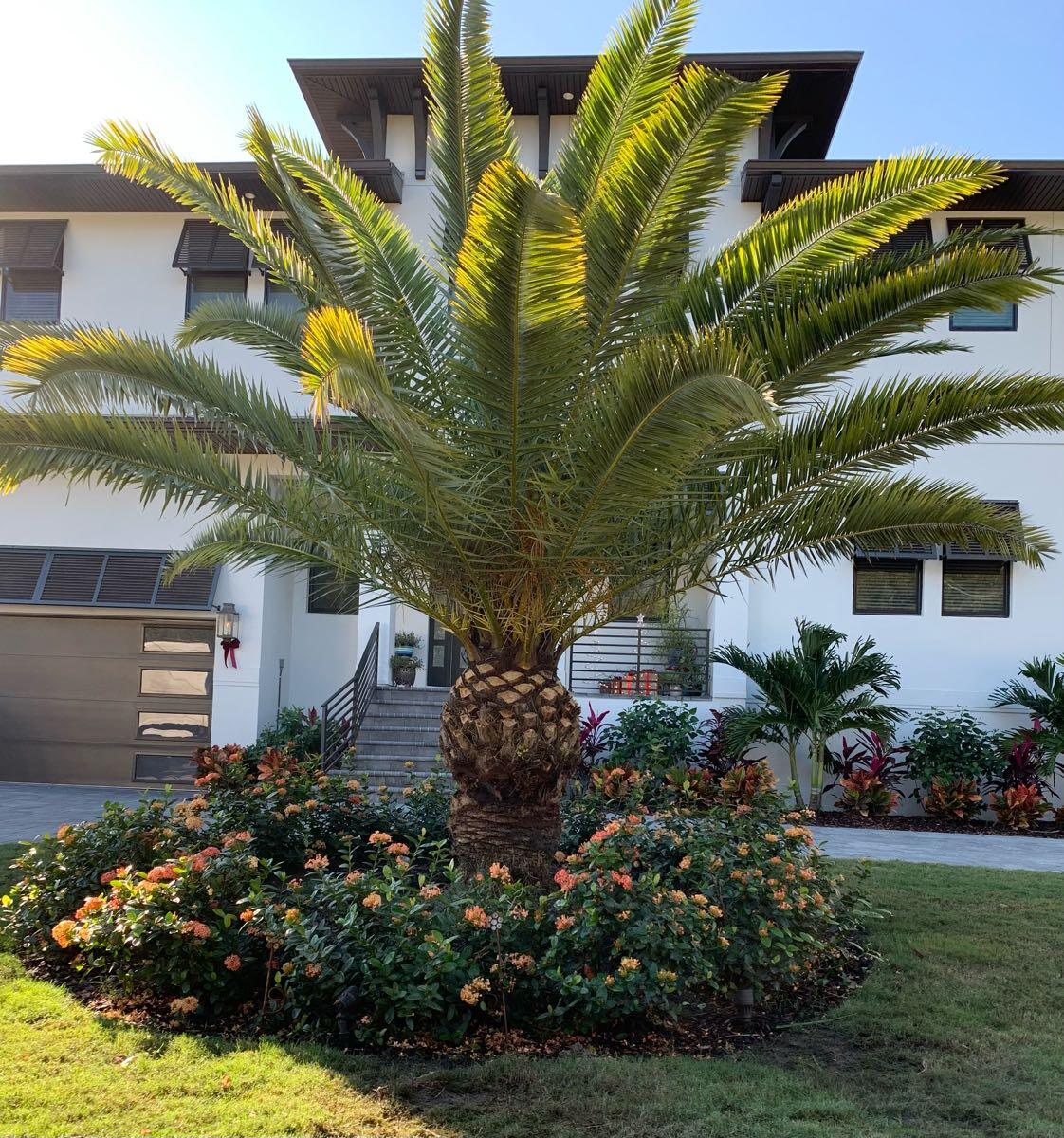 Wolf Paradise Landscaping Spring Hill, FL Nextdoor