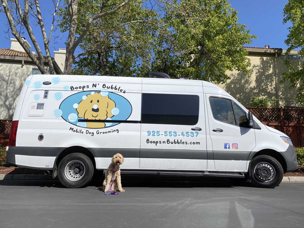 Bubbles mobile dog 2024 grooming