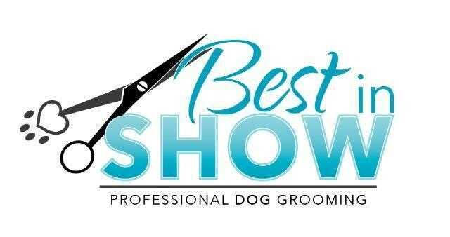 Best in show dog grooming deals