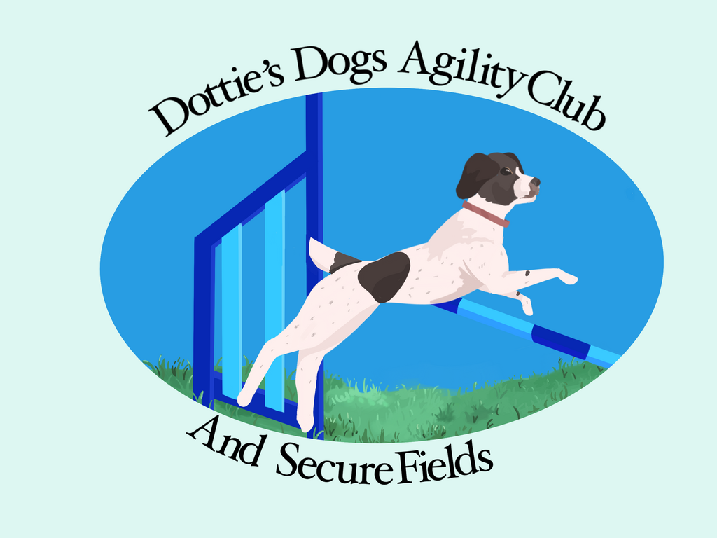 Dog best sale agility clubs