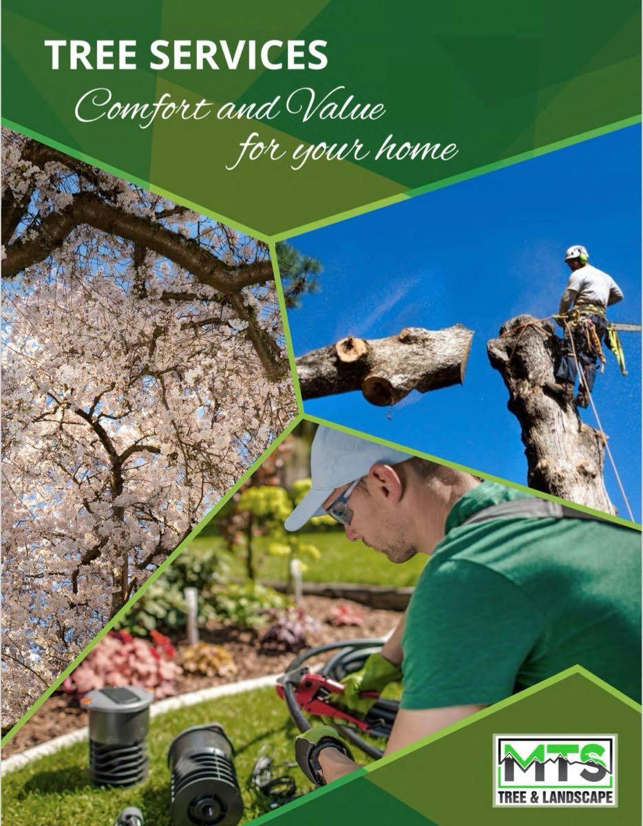 MTS Tree and Landscape Issaquah, WA Nextdoor