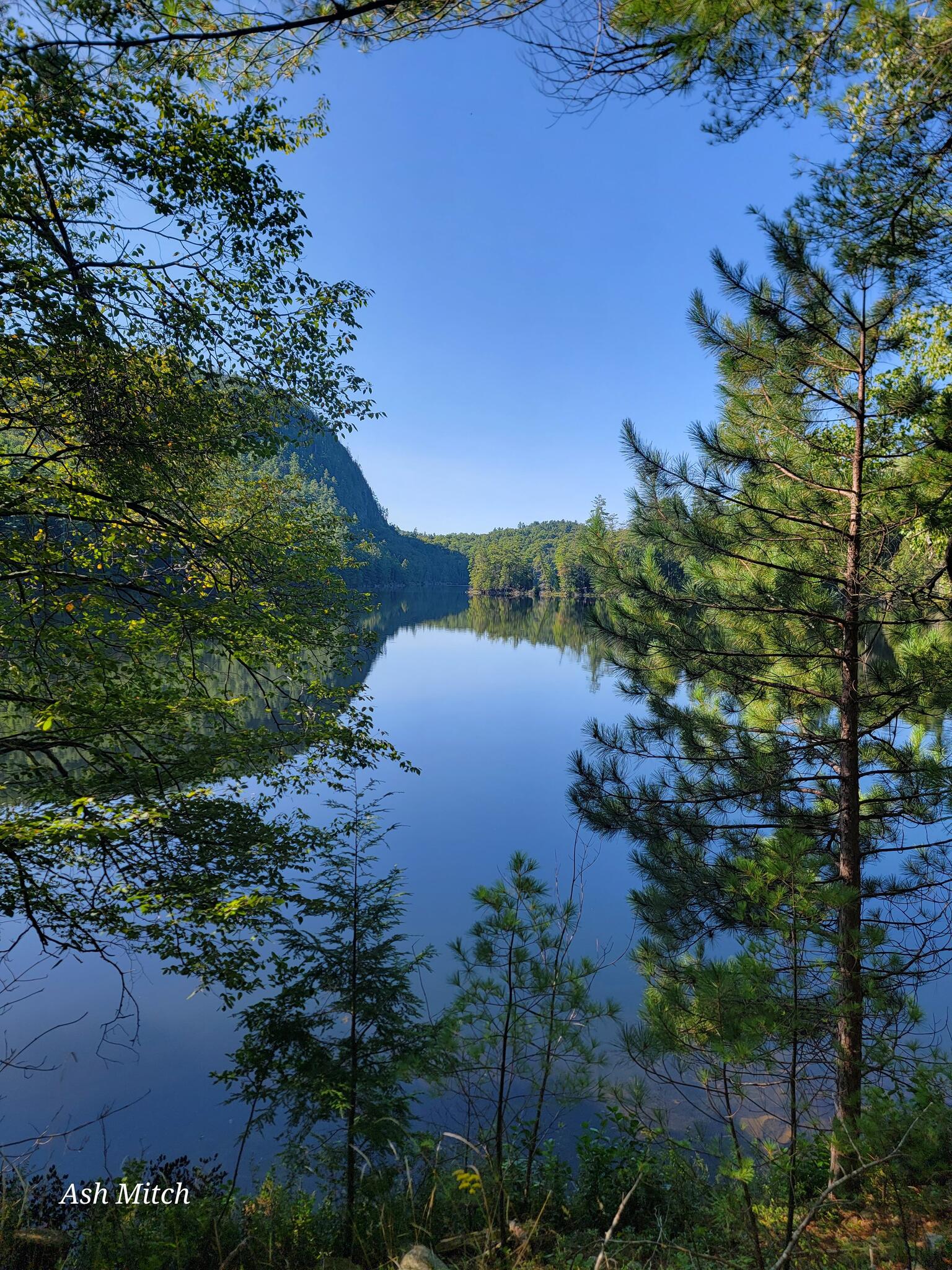 Playful Paws Ocean Pines, MD Nextdoor