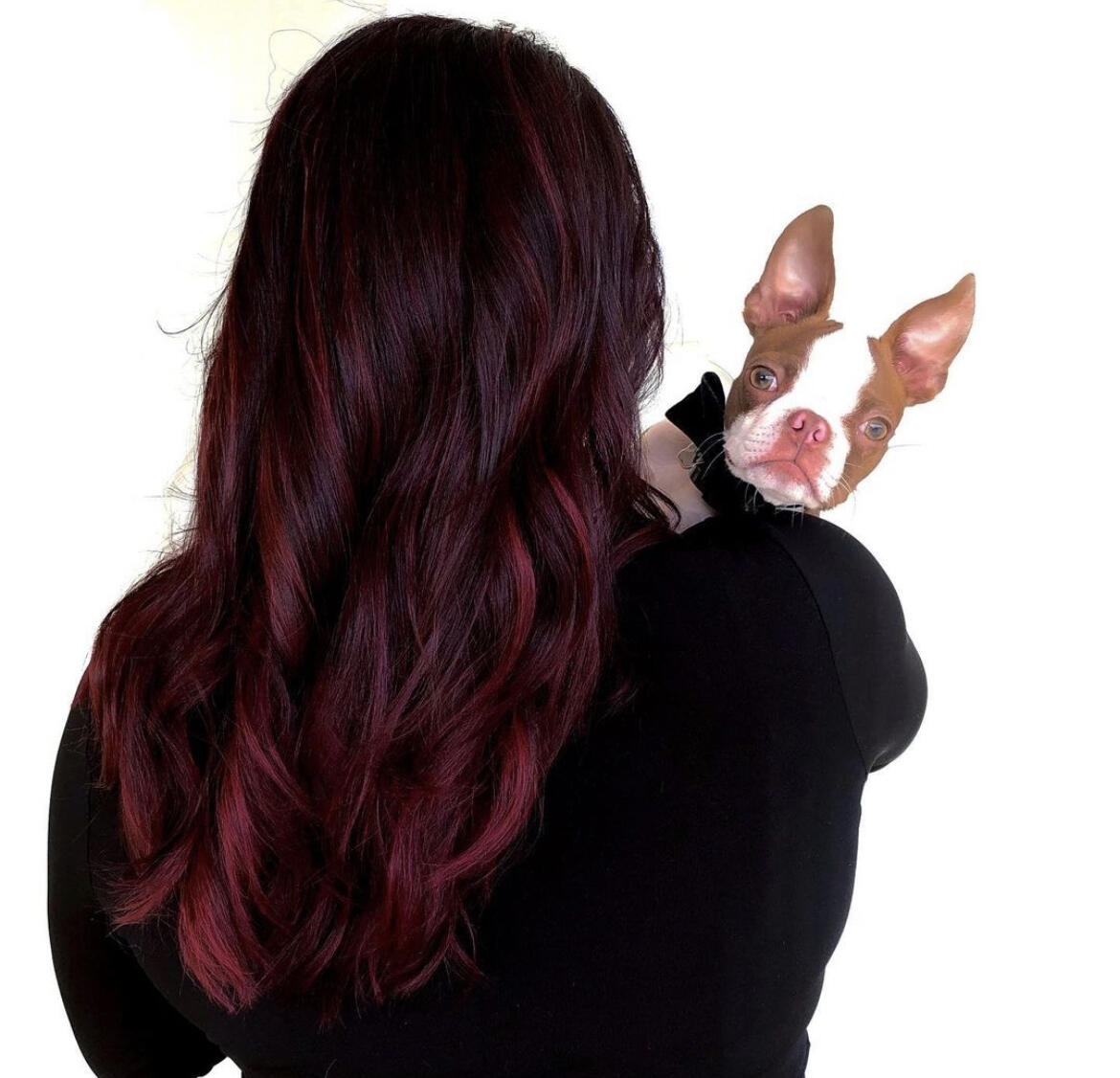 Shear Rituals Salon Bradenton, FL Nextdoor