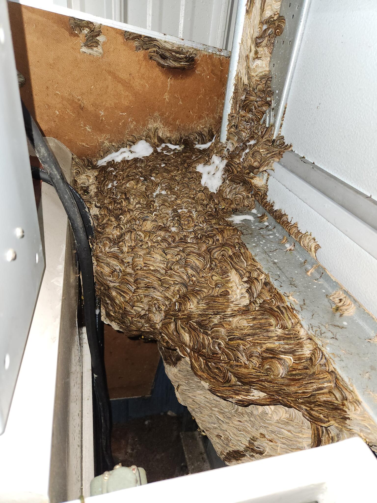 Bee Krazy LLC - Etters, PA - Nextdoor