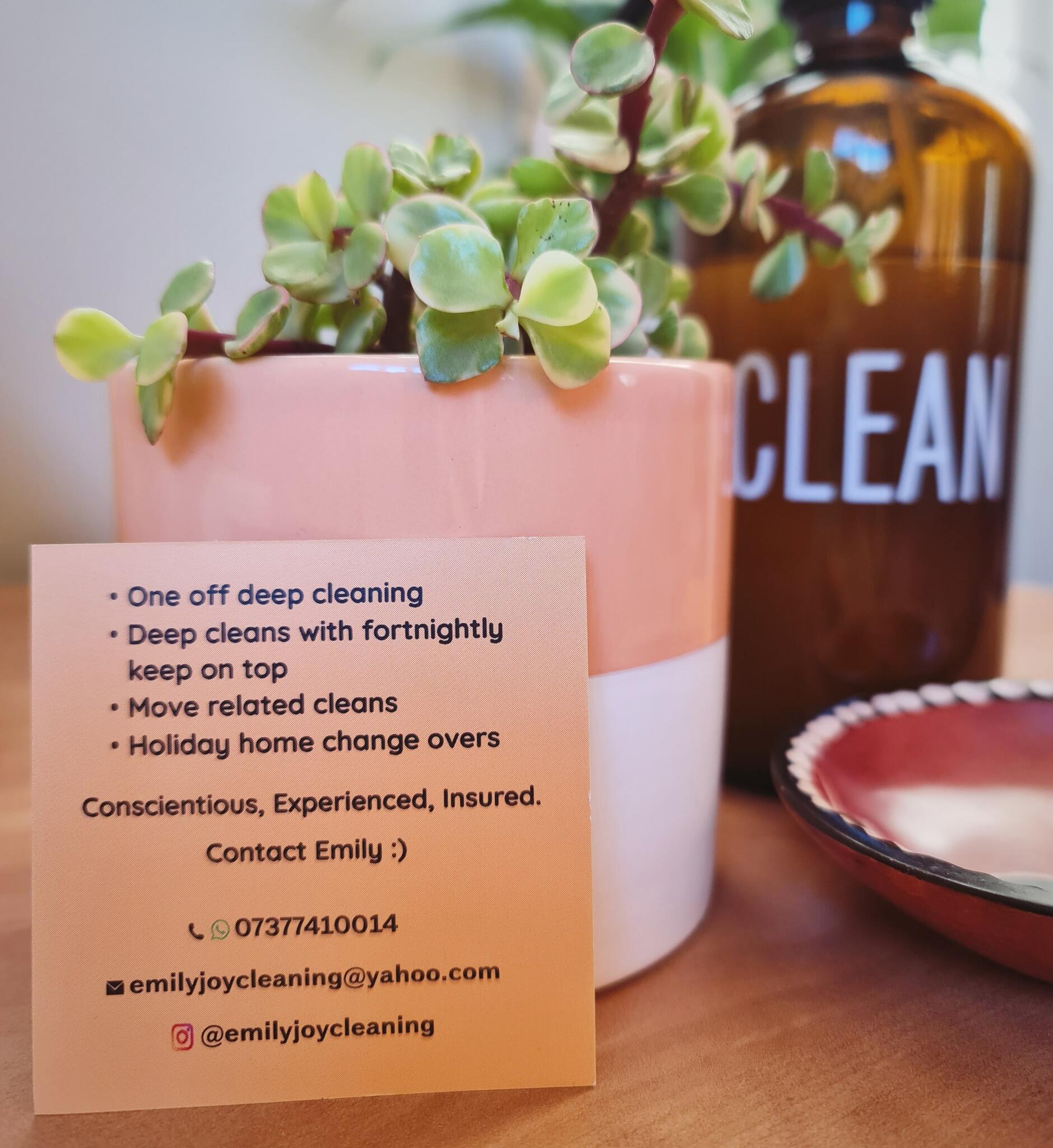 Emily Joy Cleaning Leek, GBENG Nextdoor