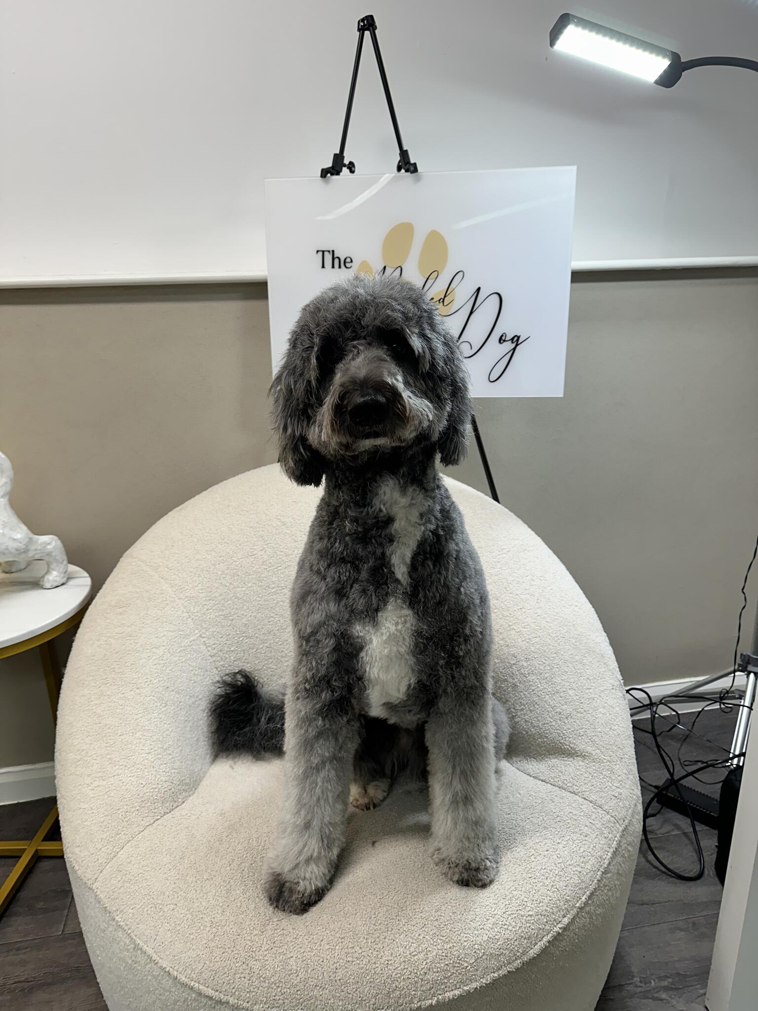 The Naked Dog Haywards Heath, GBENG Nextdoor