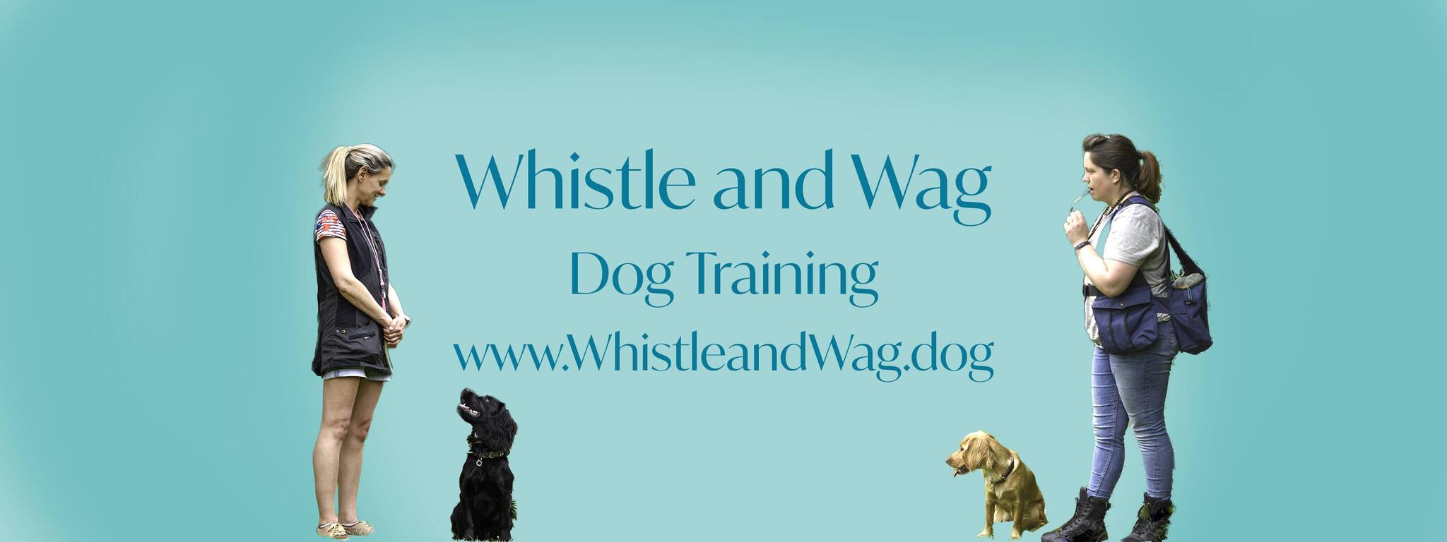 Wag store dog training