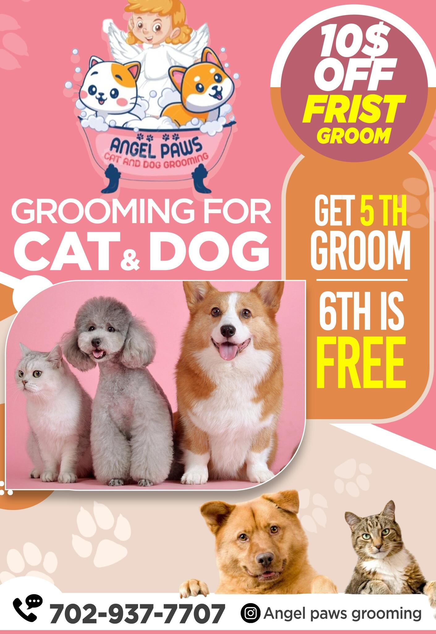 Angel paws cat and Dog grooming Las Vegas, NV Nextdoor