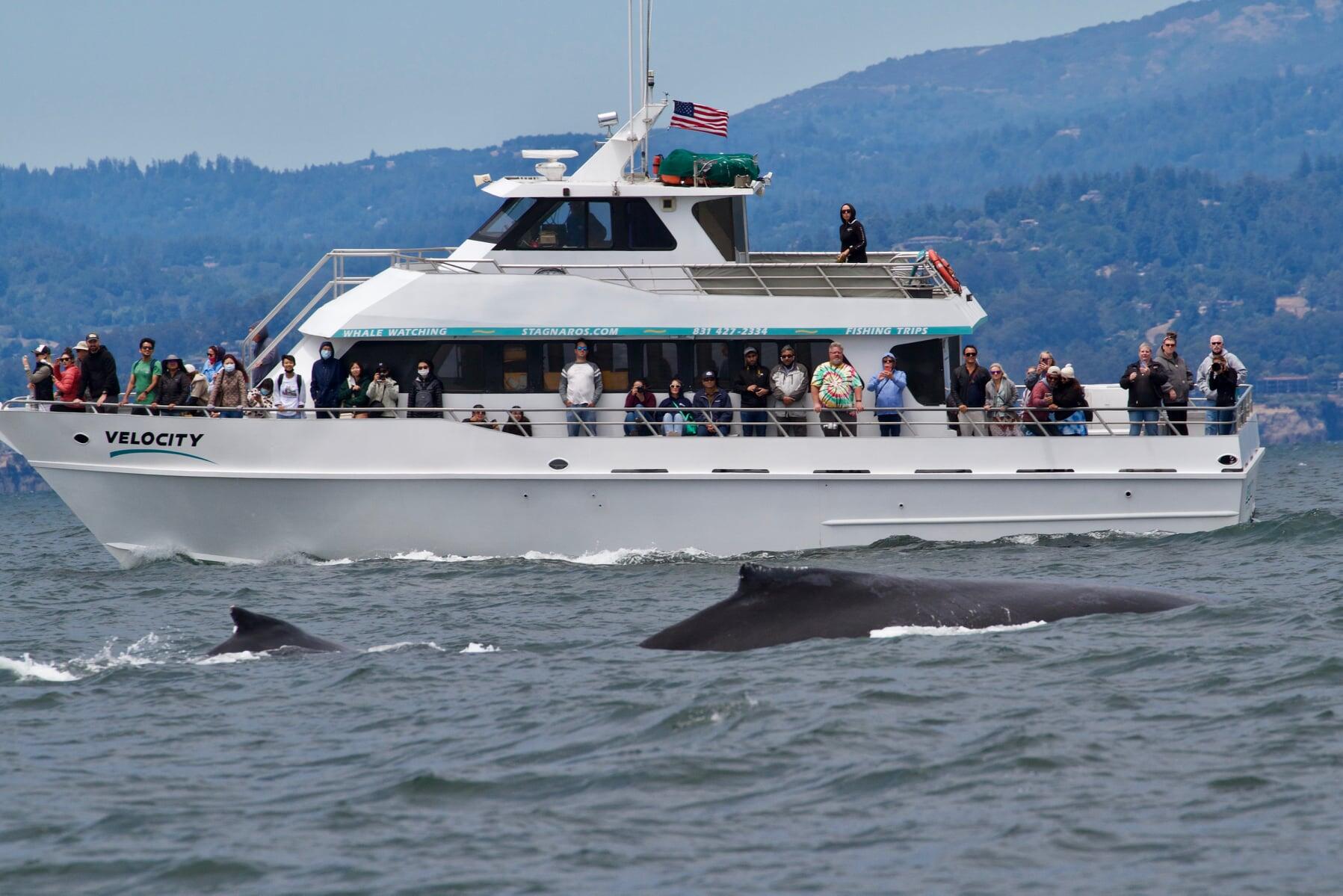 Stagnaro Charter Boats Santa Cruz CA Nextdoor