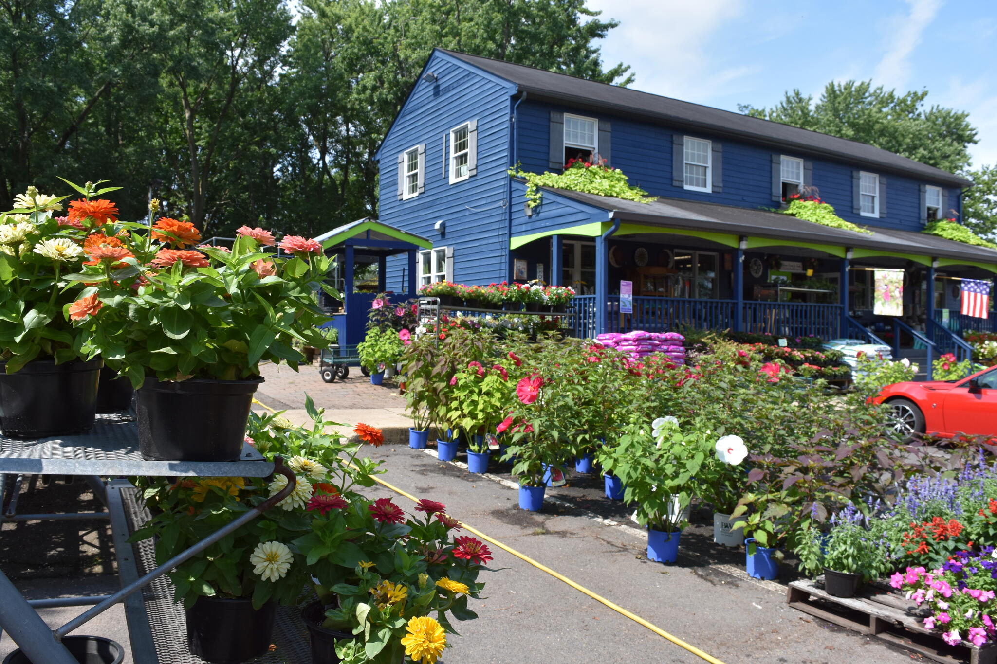 Blue Tree Garden Center Norristown, PA Nextdoor