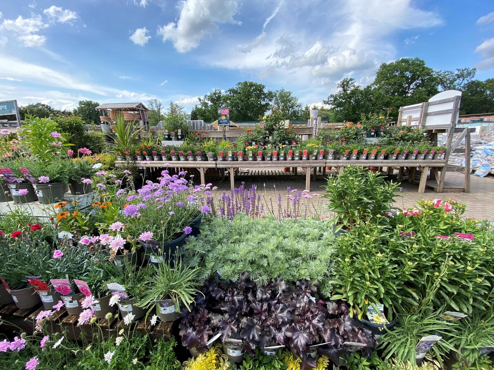 Garden Centres Addlestone Area Fasci Garden