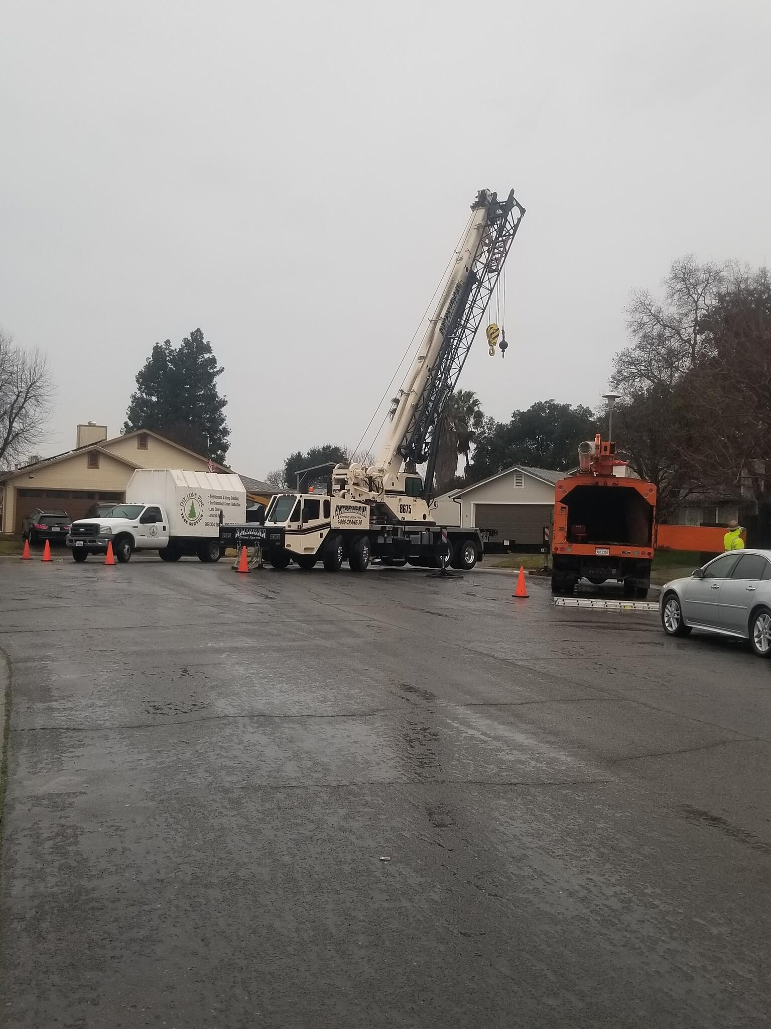 Lone Pine Tree Service Valley Springs, CA Nextdoor