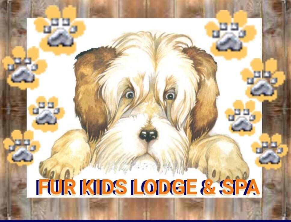 Shaggy dog lodge sales & day spa