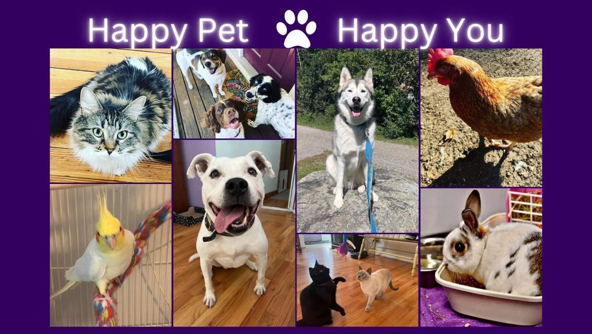 Alisha’s Happy Paws Nextdoor