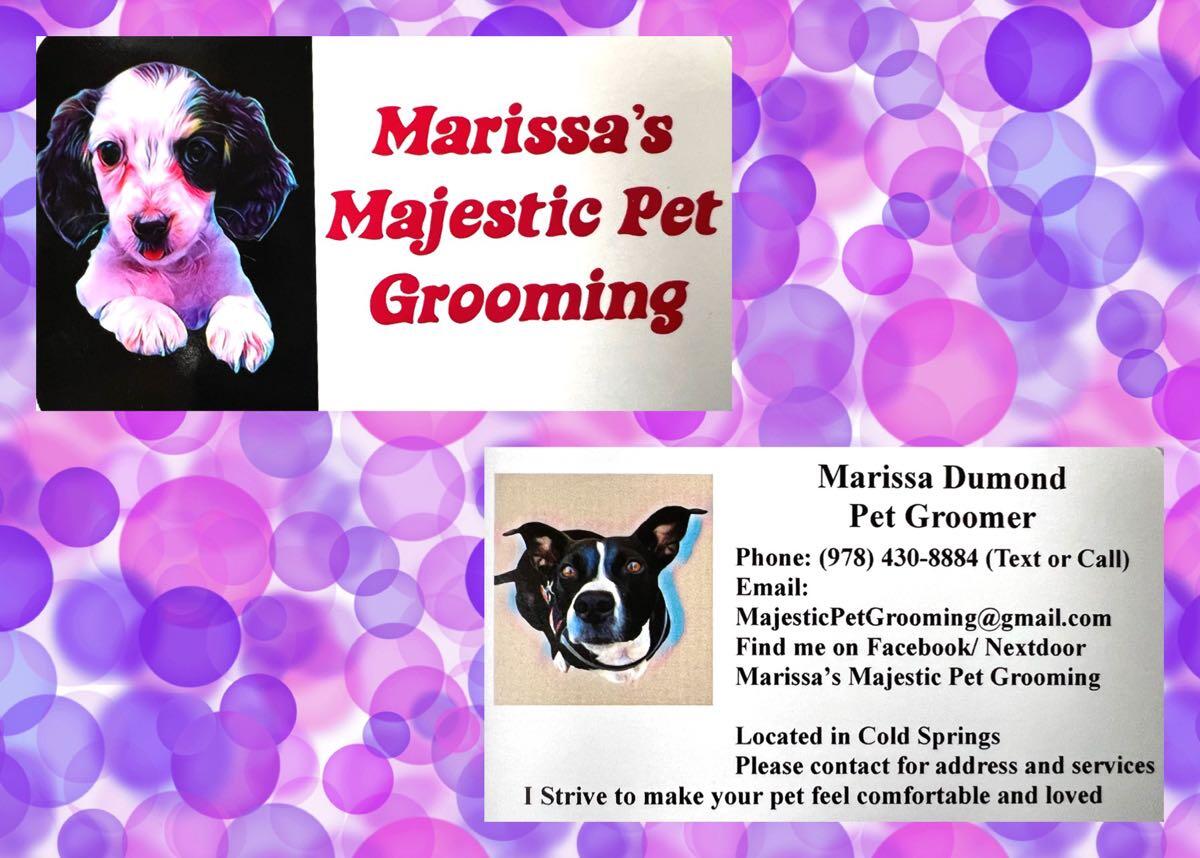 Marissa’s Majestic Pet grooming Reno, NV Nextdoor
