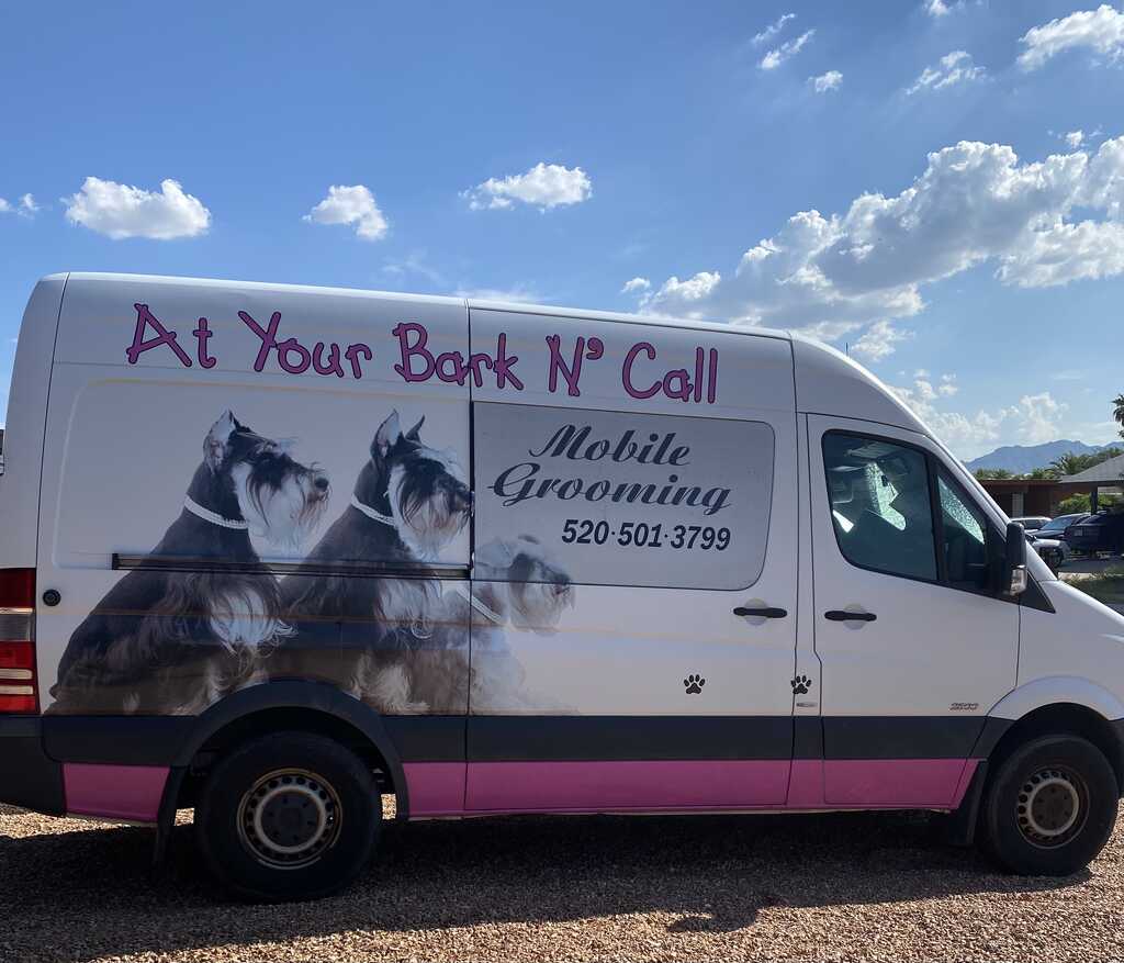 Mobile dog grooming deals tucson