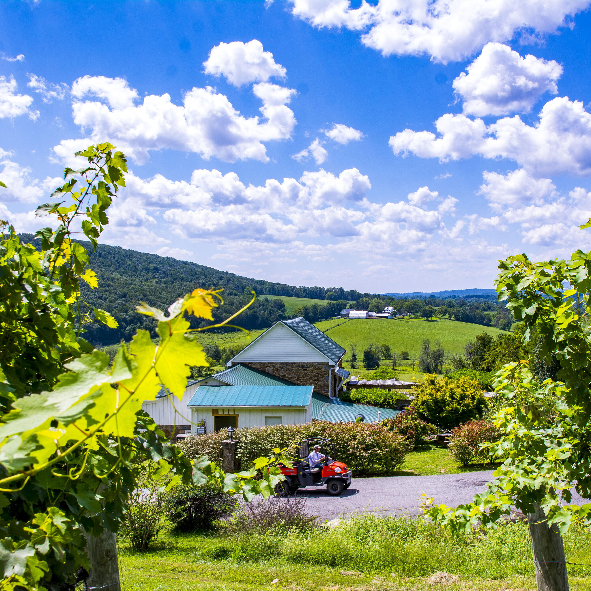 Hillsborough Winery, Brewery & Vineyard Purcellville, VA Nextdoor