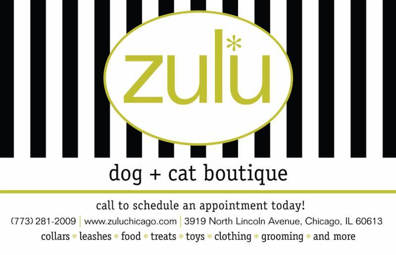 Zulu cat hot sale grooming