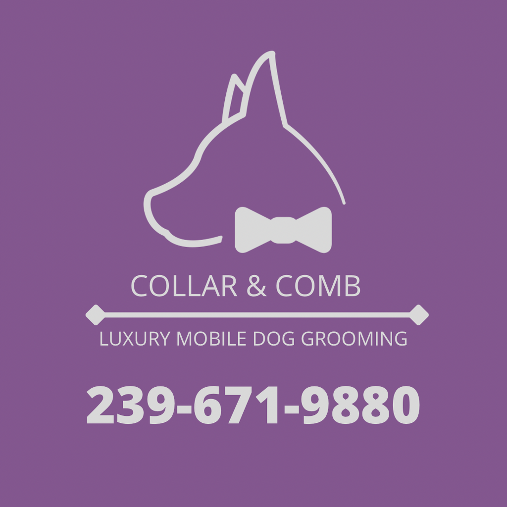 Comb and deals collar mobile grooming