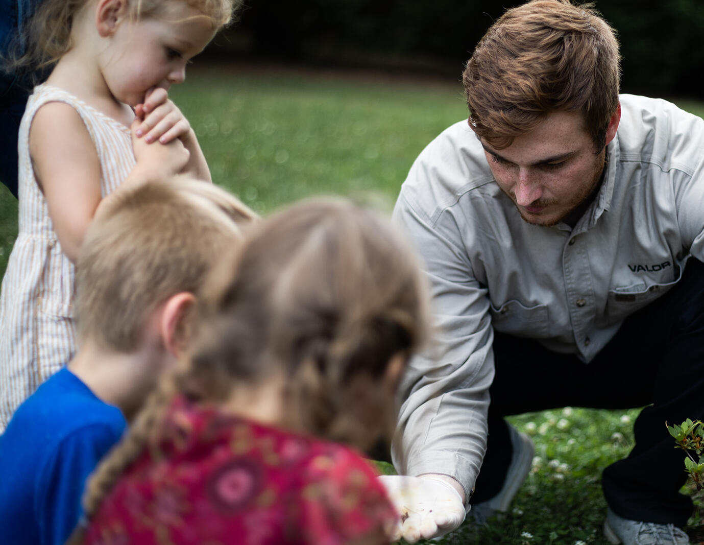 Valor Pest Control Knoxville, TN Nextdoor