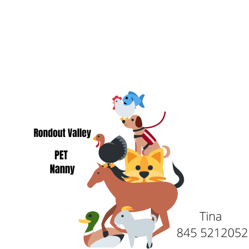 Pet Nanny Accord, NY Nextdoor