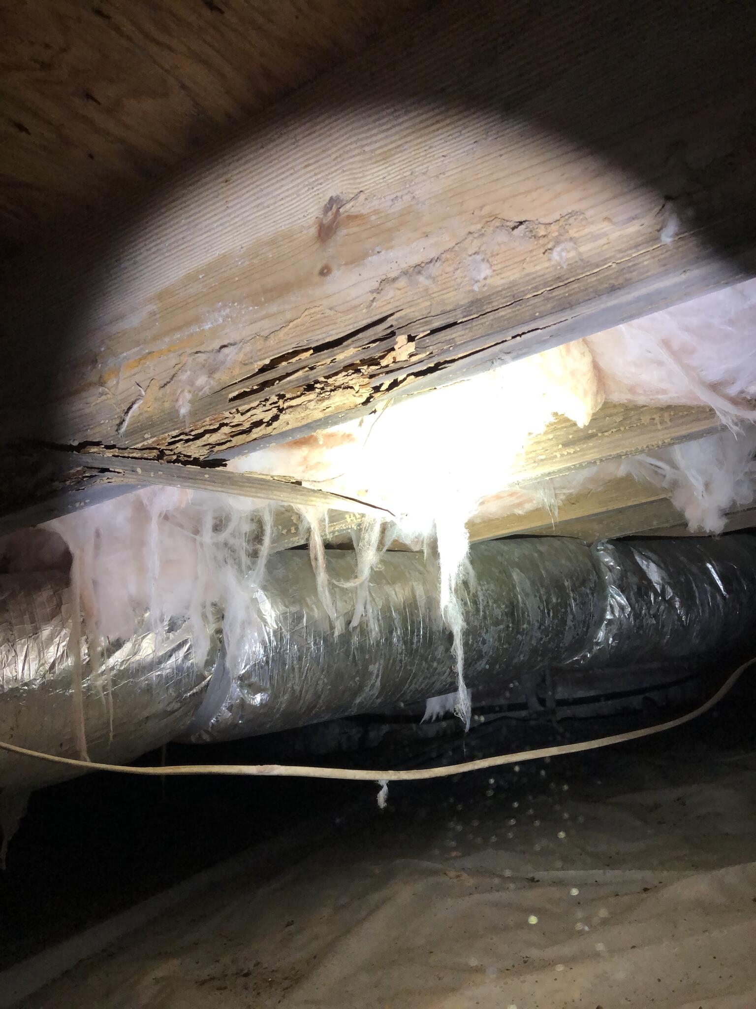 Bug Guys Pest Control Sanford, NC Nextdoor