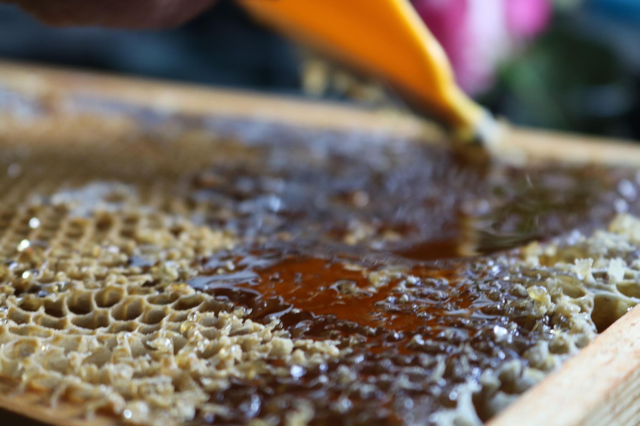 Hams Honeylicious Honey Richmond Nextdoor