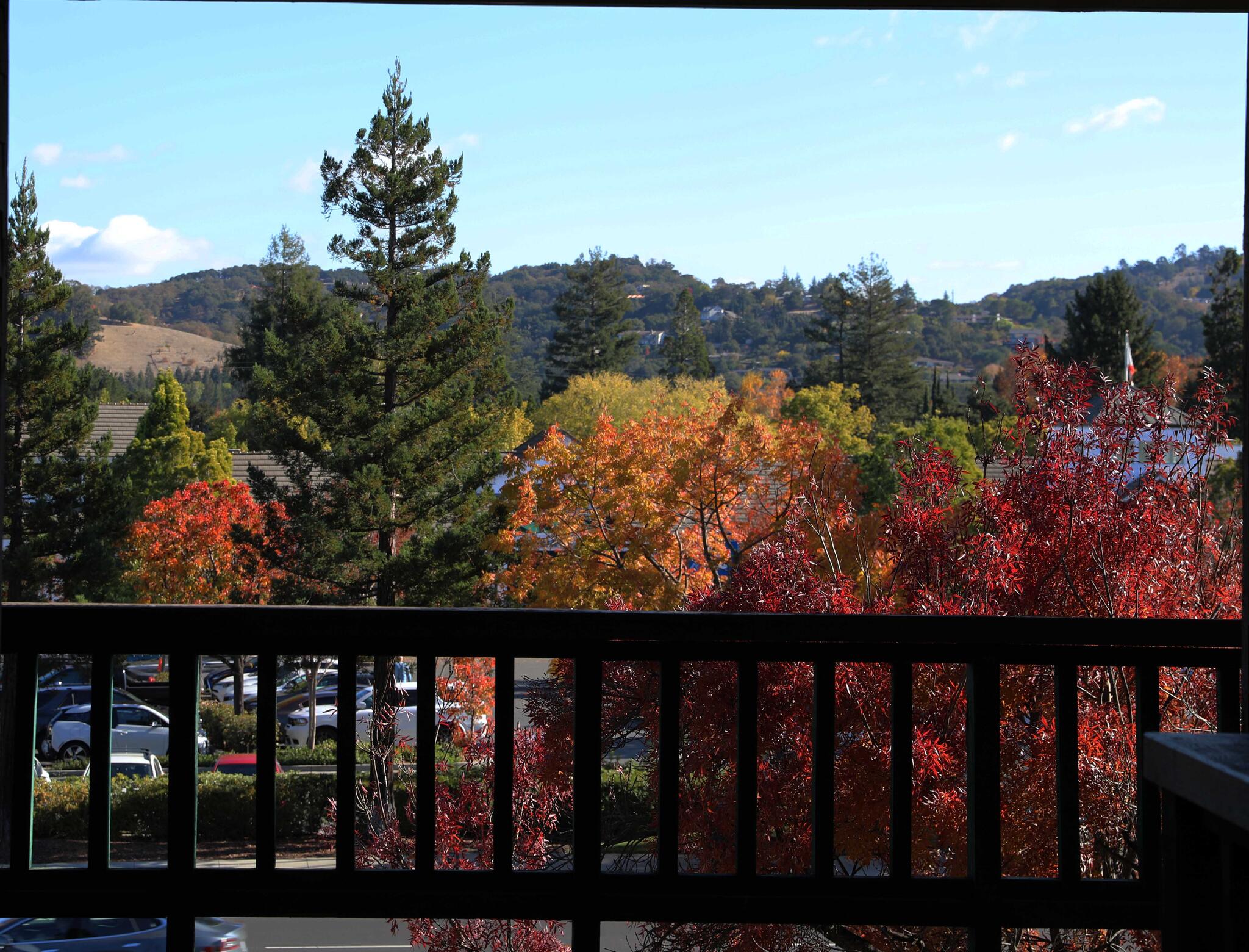 Ginny Estupinian PhD - Los Gatos, CA - Nextdoor