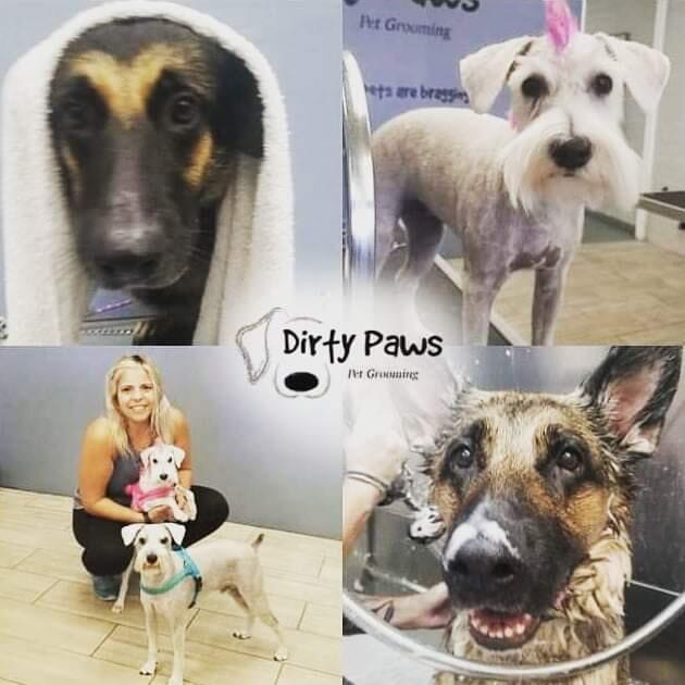 Dirty Paws Pet Grooming Phoenix, AZ Nextdoor