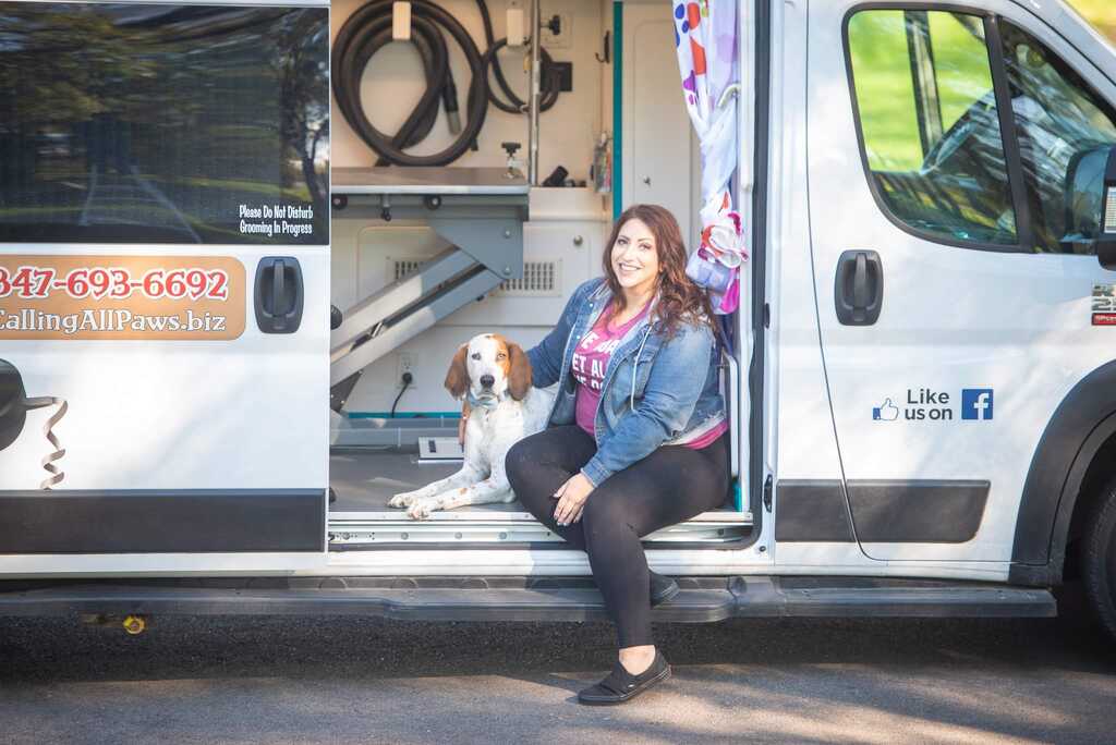 All paws online mobile grooming