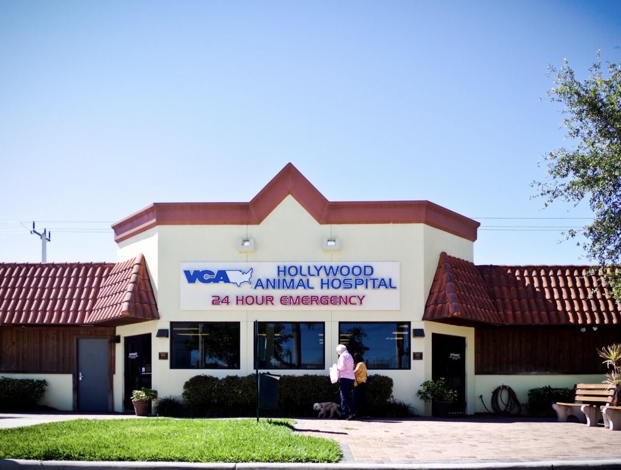 Hollywood animal cheap hospital vca