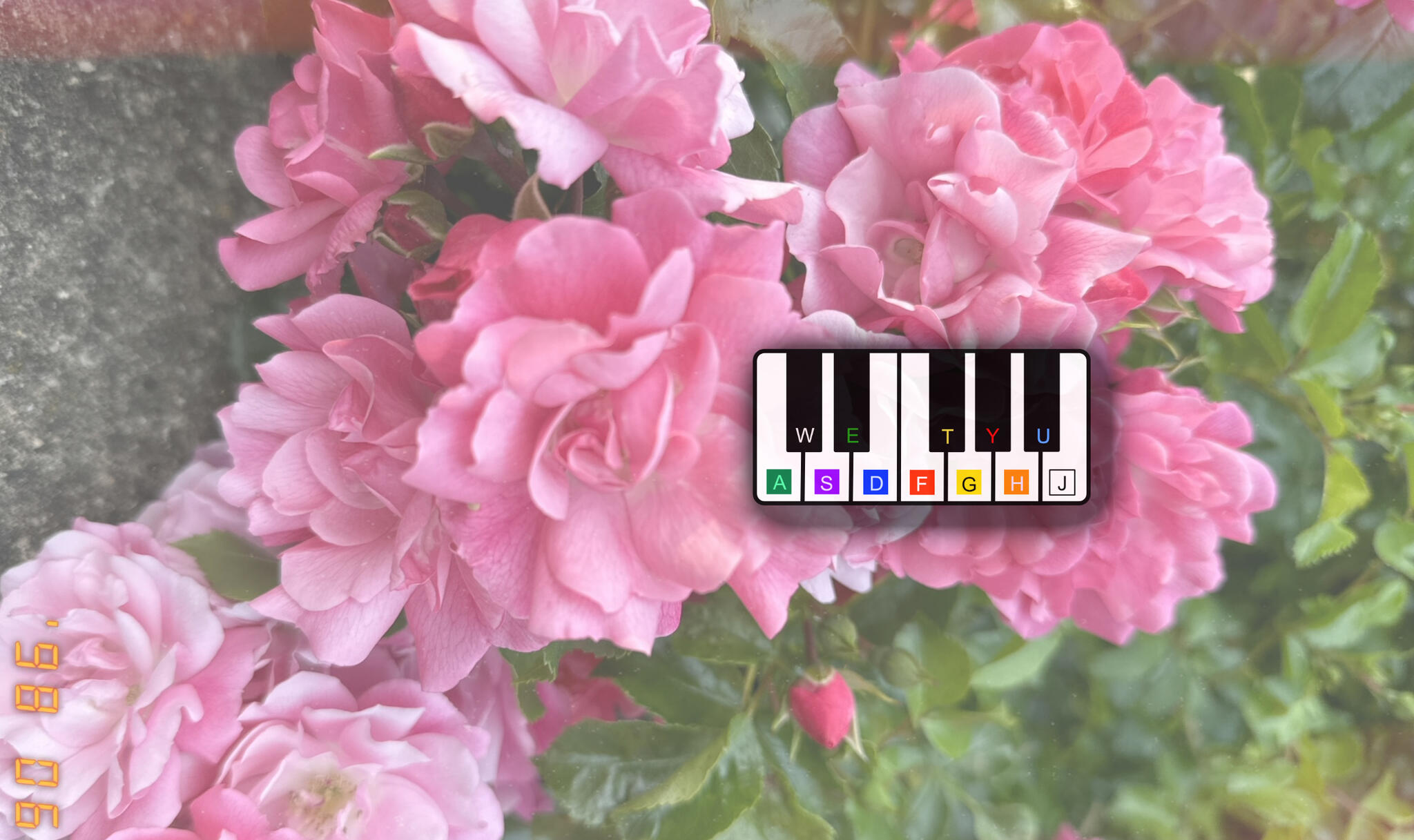 Al's Music Classes London, England Nextdoor