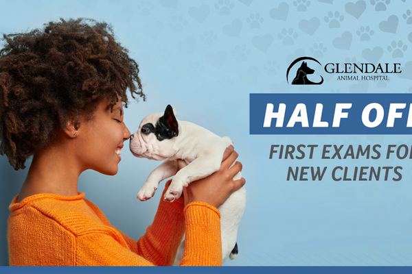 Glendale Animal Hospital - Glendale Heights, IL Glendale Animal Hospital - Glendale Heights, IL