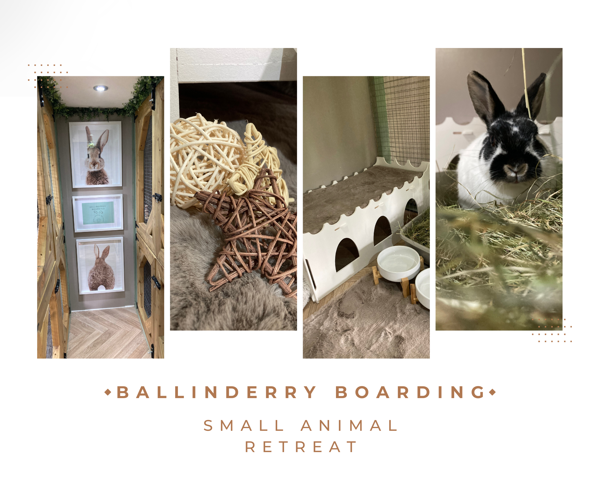 Ballinderry Boarding Small Animal Retreat Lisburn Nextdoor