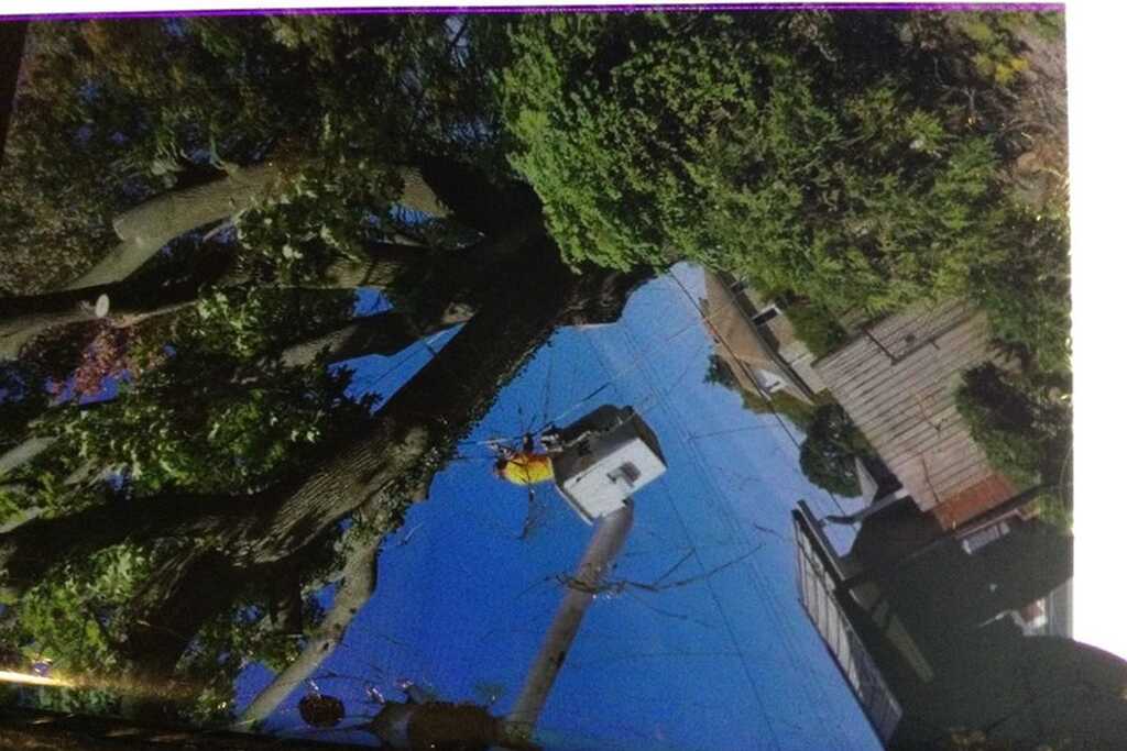 Barrs Tree Service Altoona PA Nextdoor barrs-tree-service-altoona-pa-nextdoor