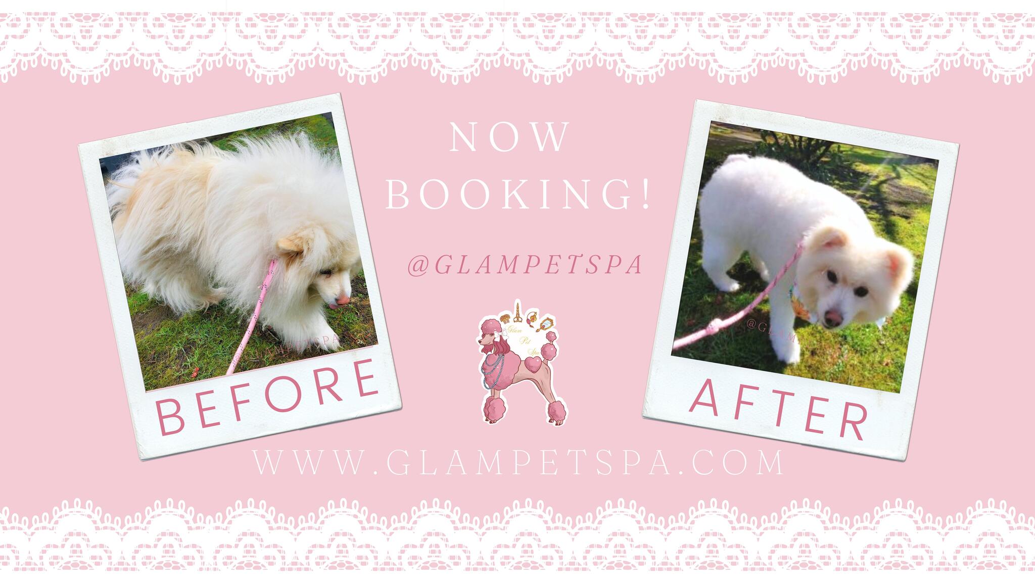 Glitz and best sale glam pet spa