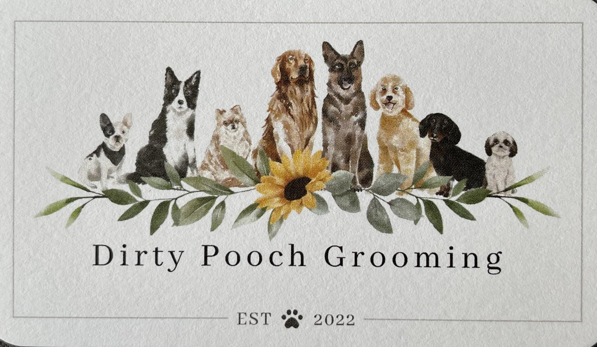 Pooch grooming 2024