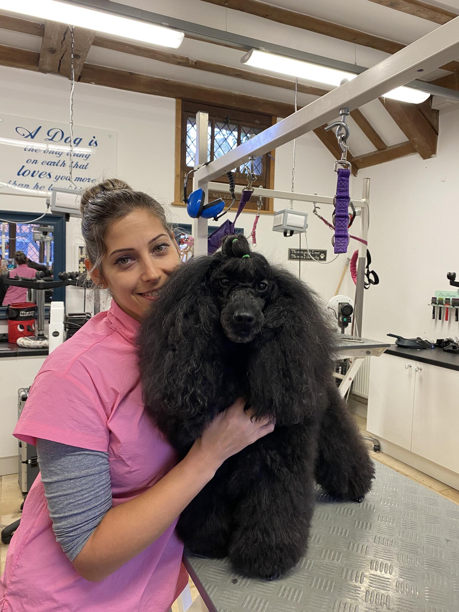 Pracli Dog Grooming Uxbridge Nextdoor