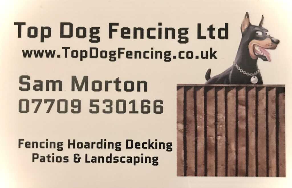 Top online dog ltd