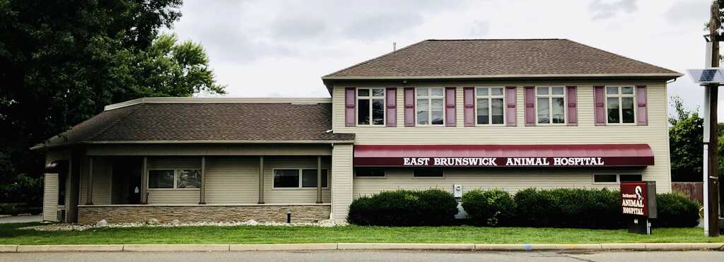 Brunswick animal hospital hot sale hours